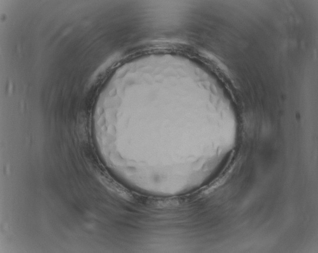 X0000073471403200608251745