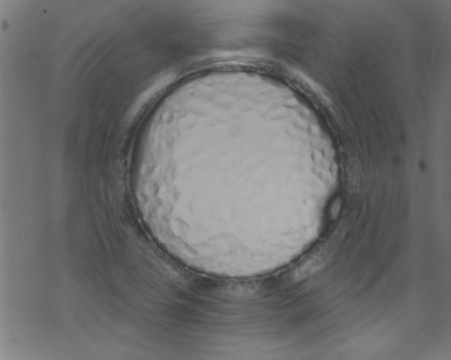 X0000073471411200608251745