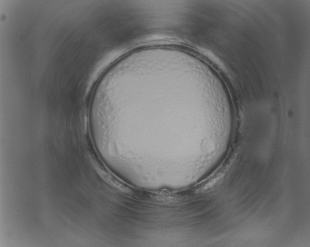 X0000073471413200608251745