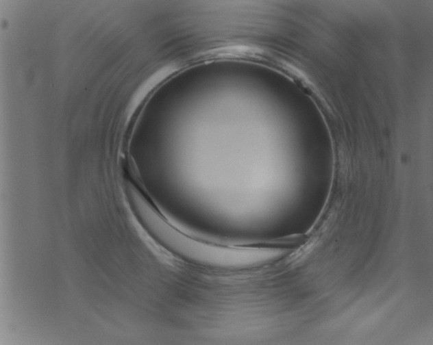 X0000073471426200608251745