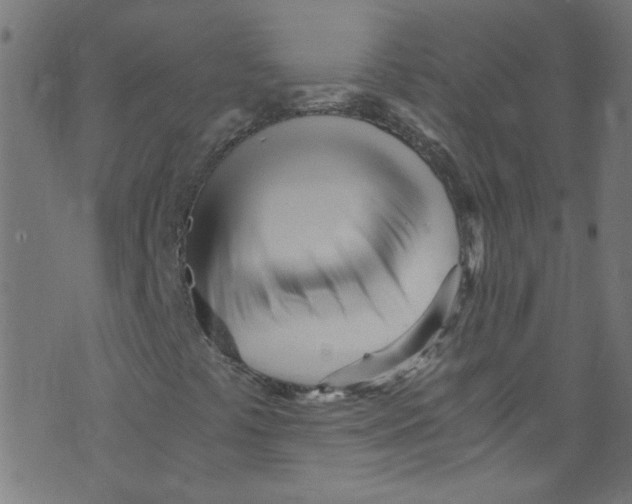 X0000073471441200608251745