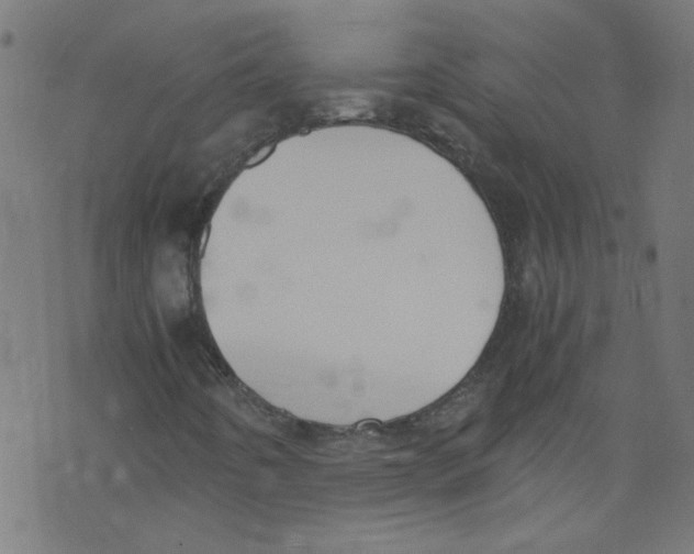 X0000073471442200608251745