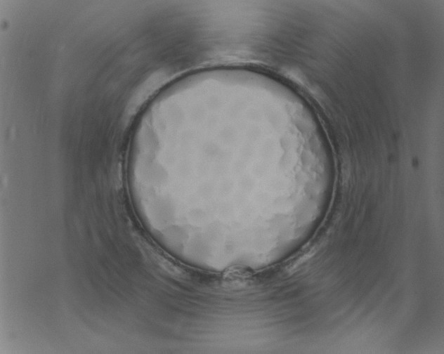 X0000073471459200608251745