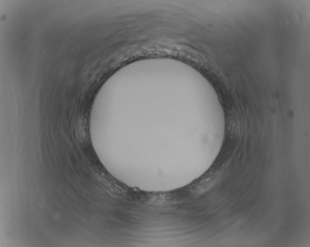 X0000073471490200608251743