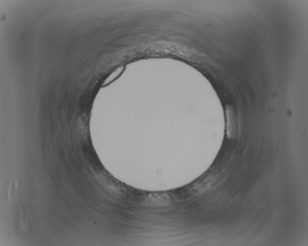 X0000073471491200608251743