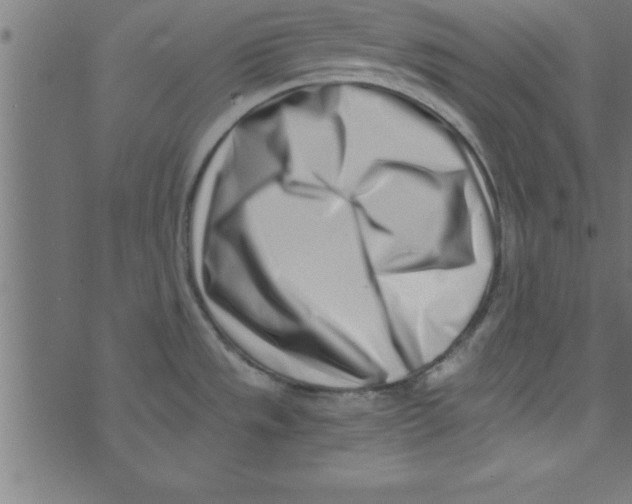 X0000073471533200608251744