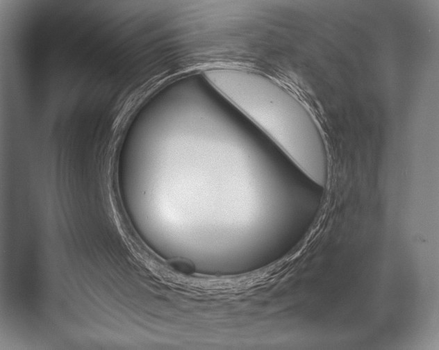 X0000073480001200607310903