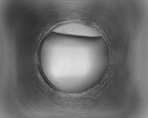 X0000073480002200607310903