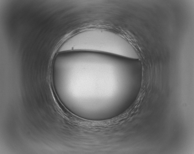 X0000073480003200607310903