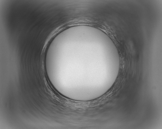 X0000073480004200607310903