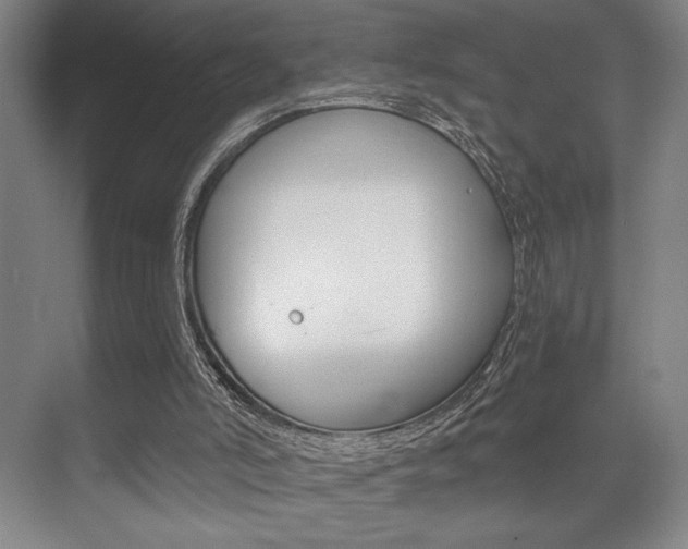 X0000073480006200607310903