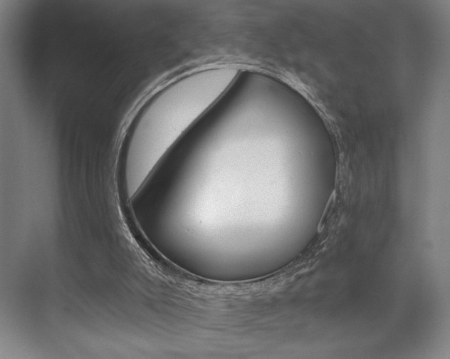 X0000073480007200607310903