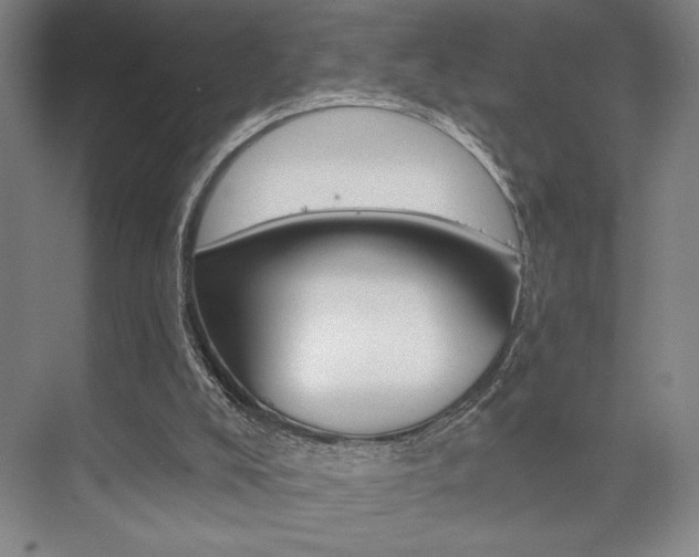 X0000073480008200607310903