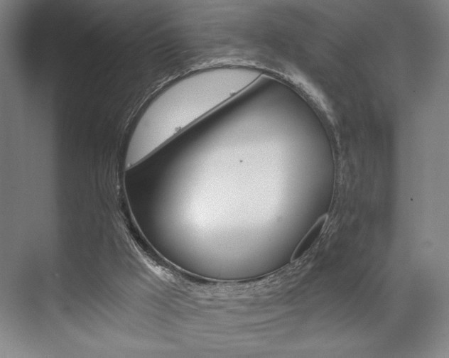 X0000073480009200607310903