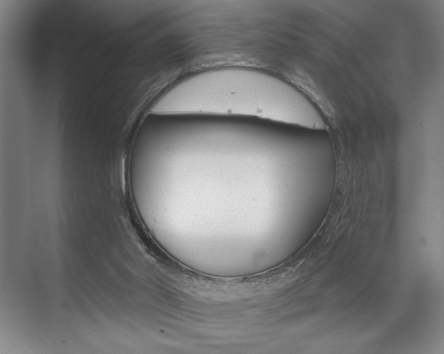 X0000073480014200607310903