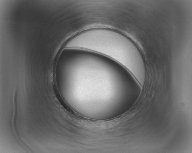 X0000073480015200607310903