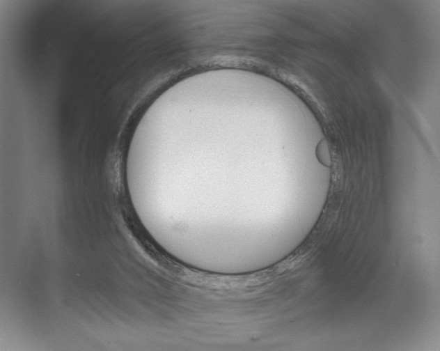 X0000073480016200607310903