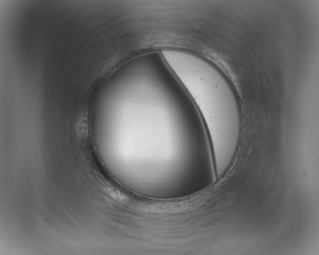 X0000073480017200607310903