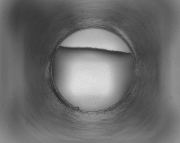 X0000073480018200607310903