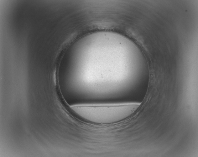 X0000073480019200607310903