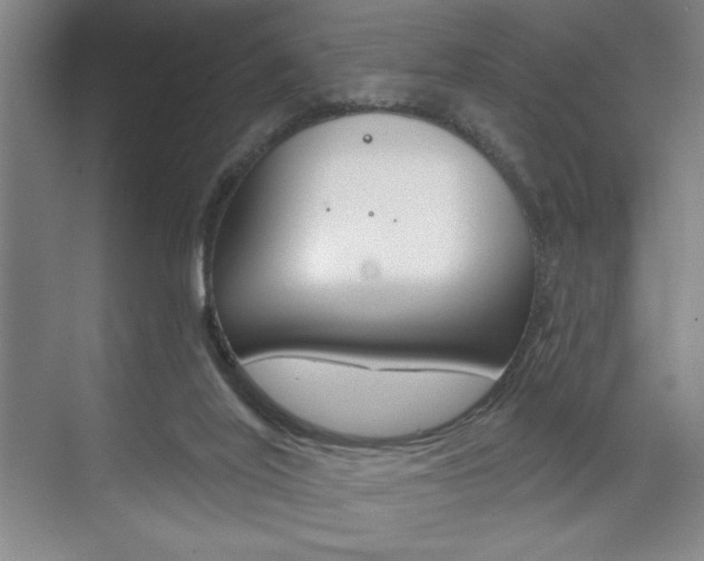 X0000073480020200607310903