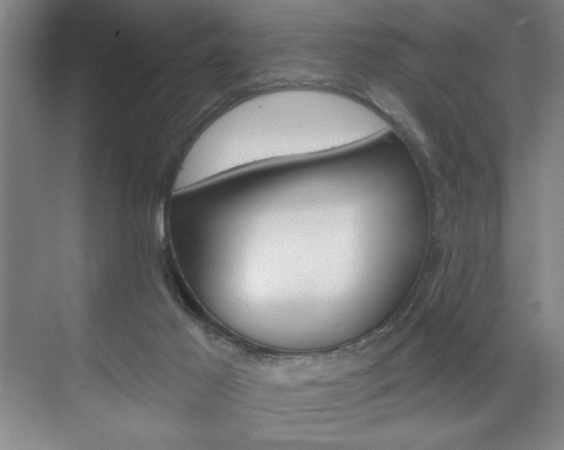 X0000073480021200607310903