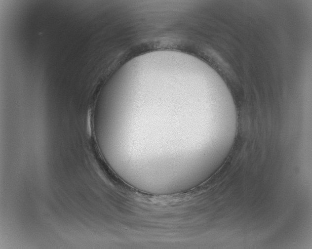 X0000073480022200607310903