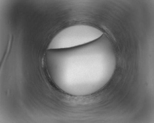 X0000073480026200607310902