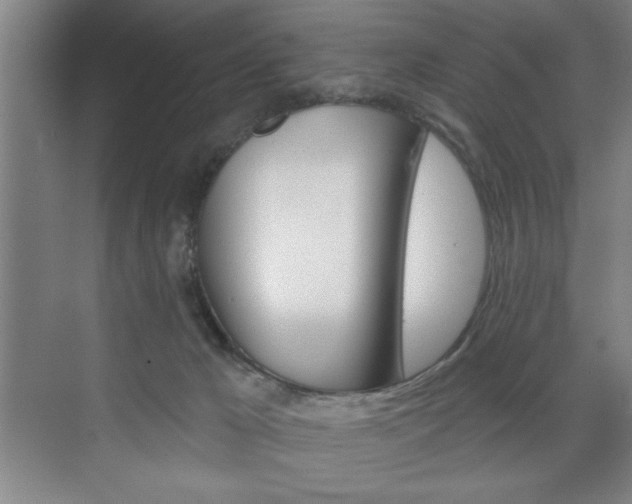 X0000073480029200607310902