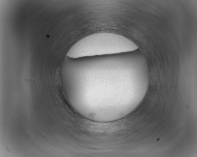 X0000073480034200607310902