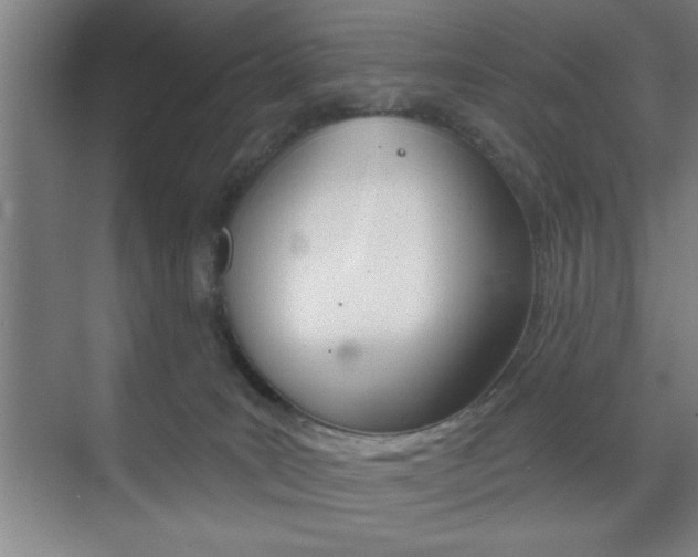 X0000073480035200607310902