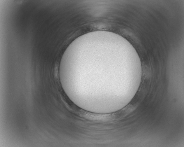 X0000073480036200607310902