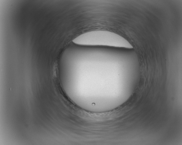 X0000073480038200607310902