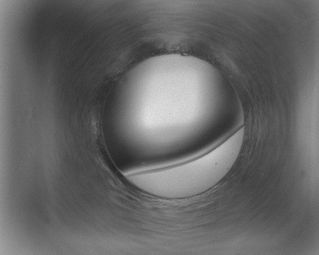 X0000073480039200607310902