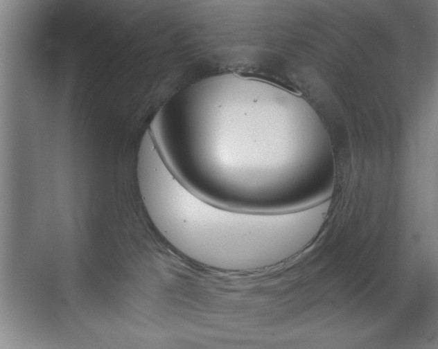 X0000073480041200607310902