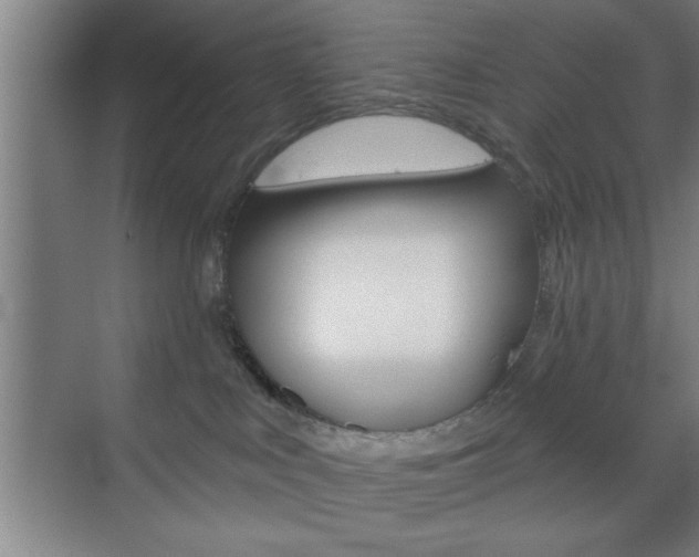 X0000073480043200607310902