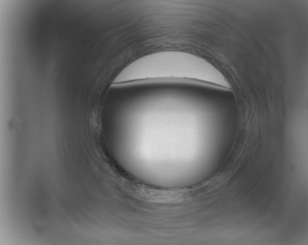 X0000073480044200607310902