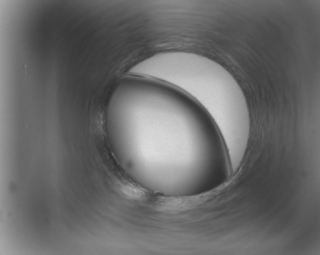 X0000073480045200607310902