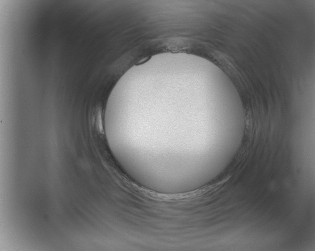 X0000073480046200607310902