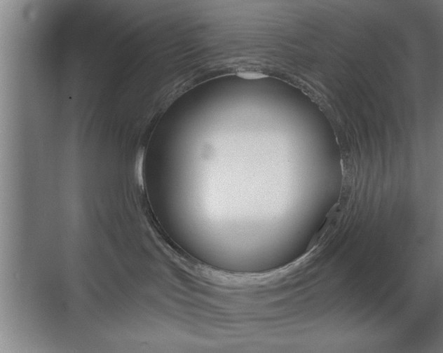 X0000073480047200607310902