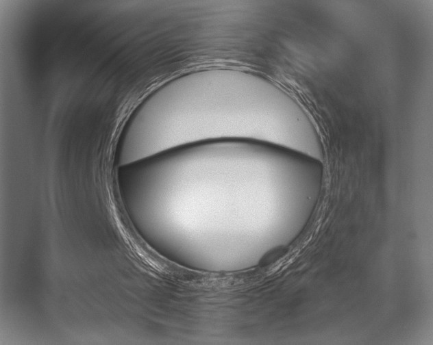 X0000073480049200607310901