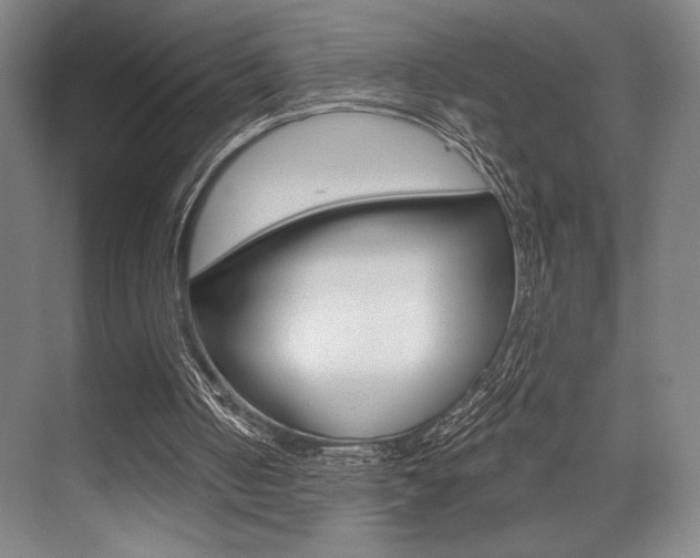 X0000073480050200607310901