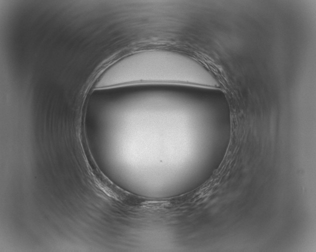 X0000073480051200607310901