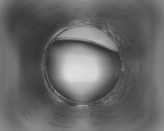 X0000073480052200607310901