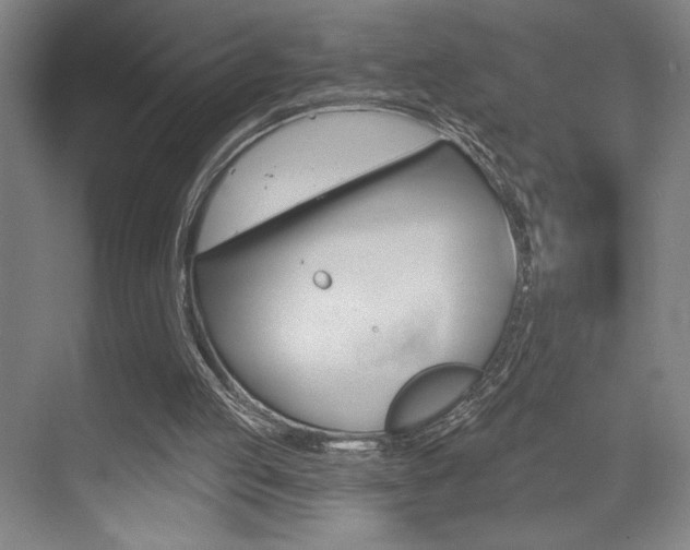 X0000073480053200607310901