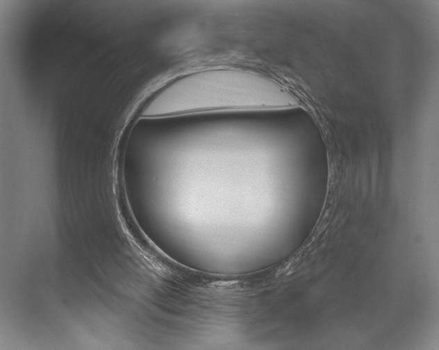 X0000073480054200607310901