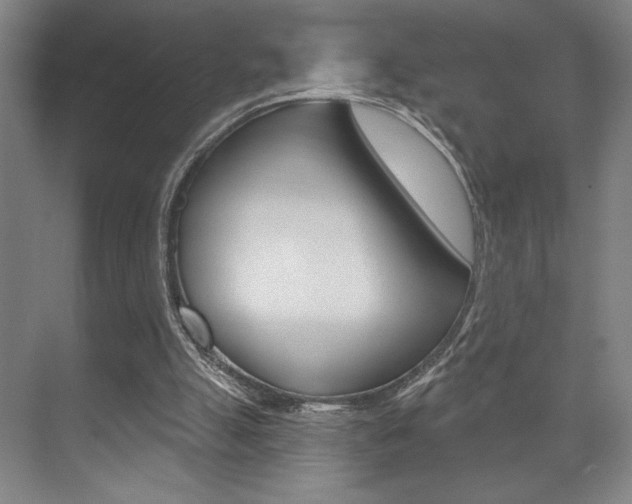 X0000073480055200607310901