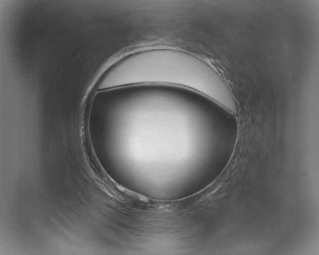 X0000073480056200607310901