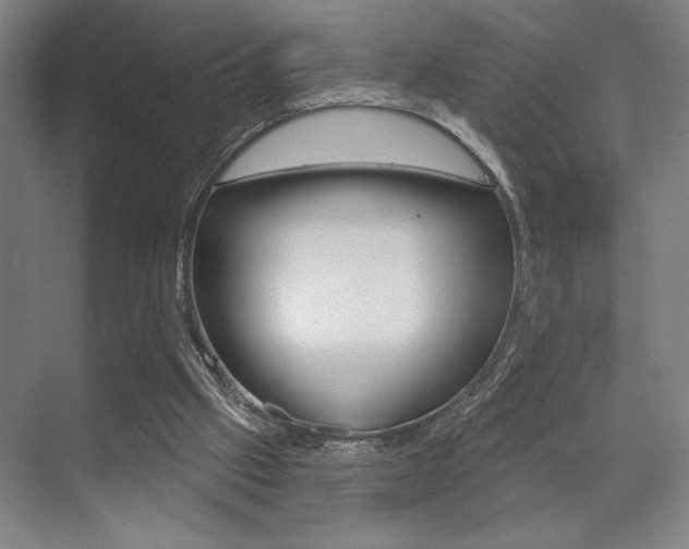 X0000073480057200607310901