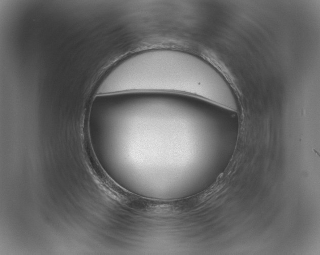 X0000073480058200607310901